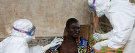 Лихорадка Эбола: смертельный вирус